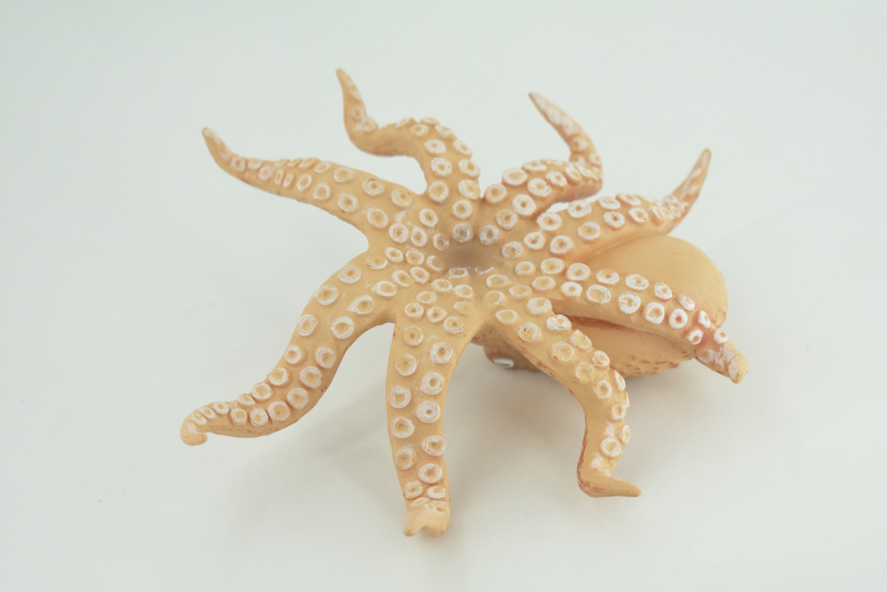 Octopus, Octopodes, Octopoda, Octopi, Ocean, Hand Painted, Rubber Realistic Toy Figure, Diorama, Model, Replica, Kids, Educational, Gift,   6 Inches.   CH1007 BB220