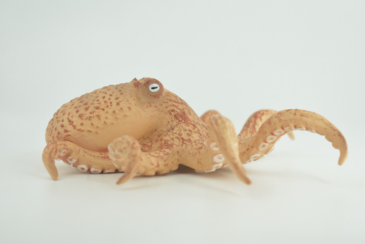 Octopus, Octopodes, Octopoda, Octopi, Ocean, Hand Painted, Rubber Realistic Toy Figure, Diorama, Model, Replica, Kids, Educational, Gift,   6 Inches.   CH1007 BB220
