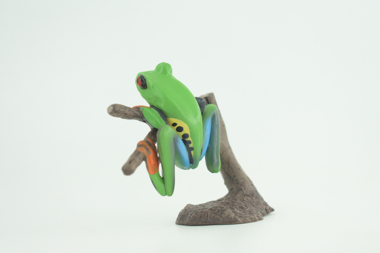 Red Eye Tree Frog, Hand Painted, Museum Quality, Rubber, Educational, Realistic, Diorama Model, Figure, Lifelike, Replica, Gift,   3 inches.    CH1012 BB217