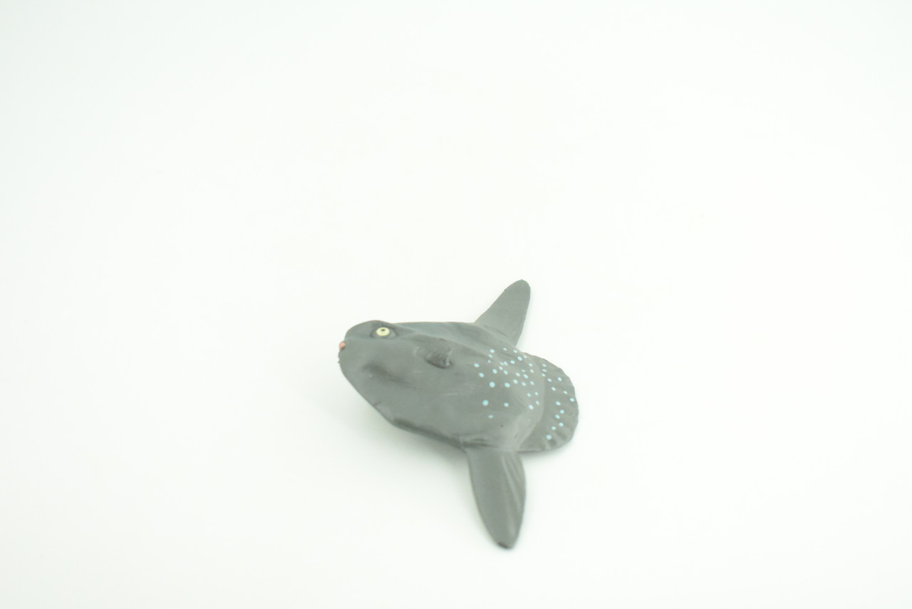 Mola Mola, Ocean Sunfish, Saltwater Fish, Museum Quality, Hand Painted, Realistic, Diorama, Model, Toy, Kids, Educational, Gift,   3 1/2 Inches.    CH1014 BB218