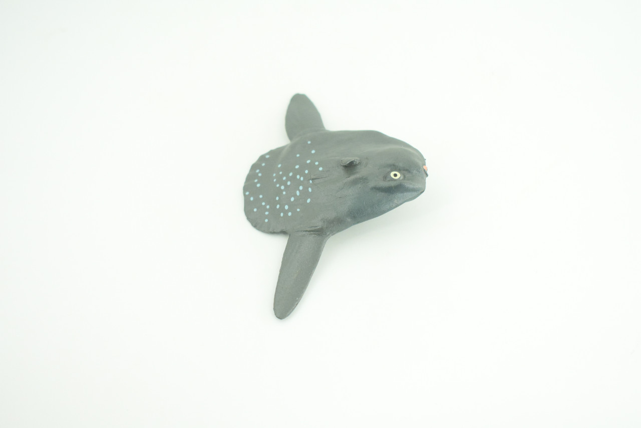 Mola Mola, Ocean Sunfish, Saltwater Fish, Museum Quality, Hand Painted, Realistic, Diorama, Model, Toy, Kids, Educational, Gift,   3 1/2 Inches.    CH1014 BB218