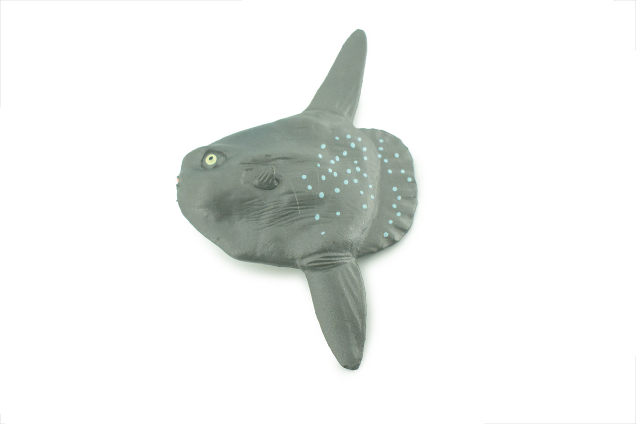 Mola Mola, Ocean Sunfish, Saltwater Fish, Museum Quality, Hand Painted, Realistic, Diorama, Model, Toy, Kids, Educational, Gift, 3 1/2 Inches. CH1014 BB218