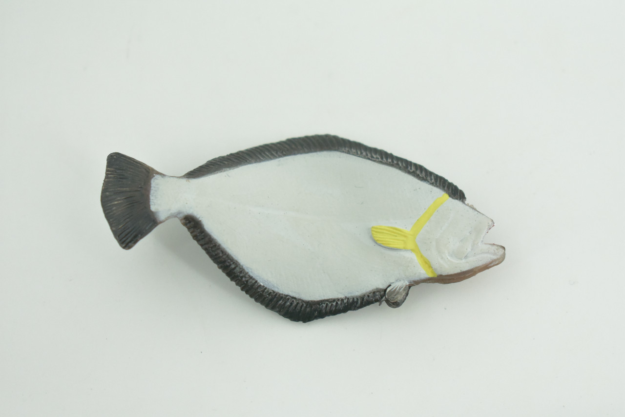 Halibut, Flatfish, Pacific,  Califonia, Saltwater Fish, Museum Quality, Hand Painted, Rubber Fish, Realistic, Diorama, Model, Toy, Kids, Educational, Gift,    3 Inches.   CH1015 BB218