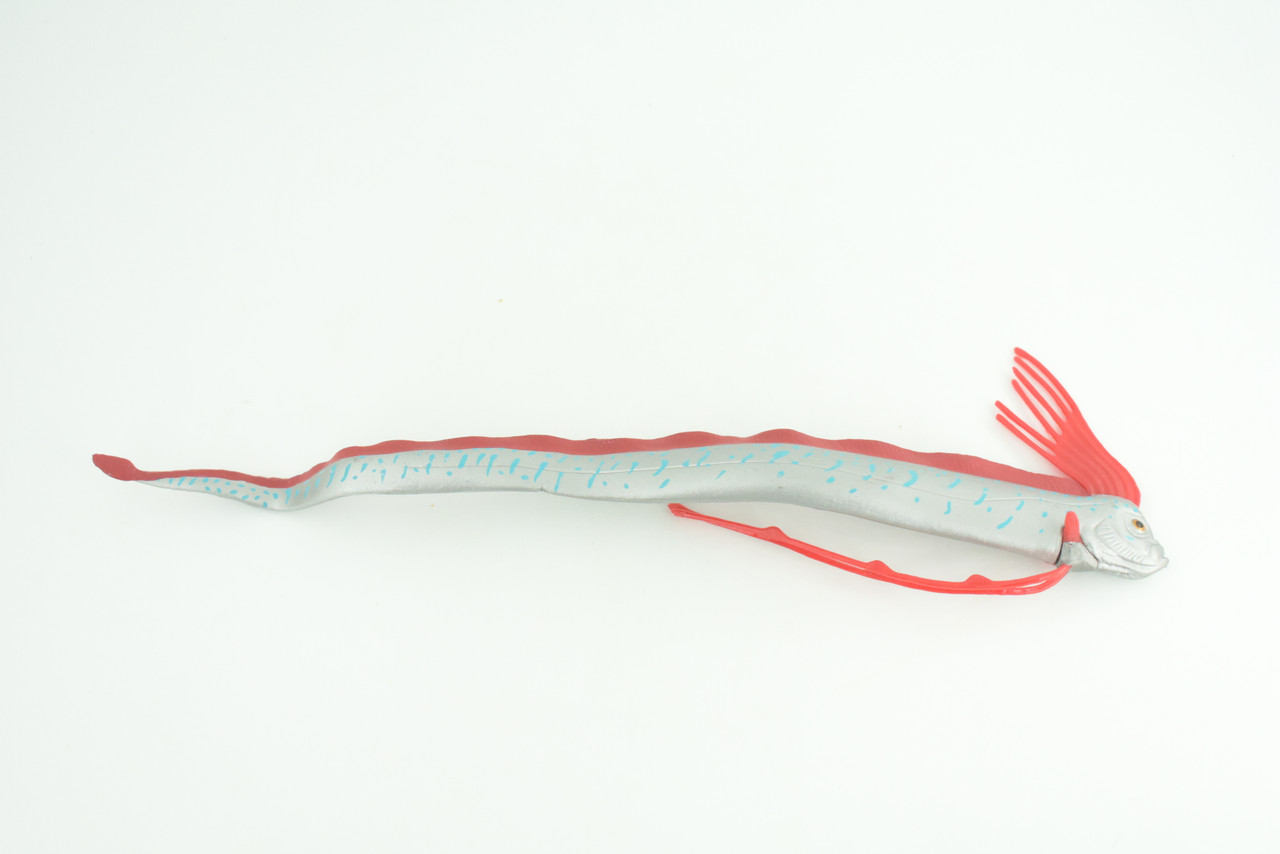 Oarfish, Giant Oar Fish, Ribbon Fish, Museum Quality, Hand Painted, Rubber Fish, Realistic, Diorama, Model, Toy, Kids, Educational, Gift,   10 Inches.   CH1016 BB221