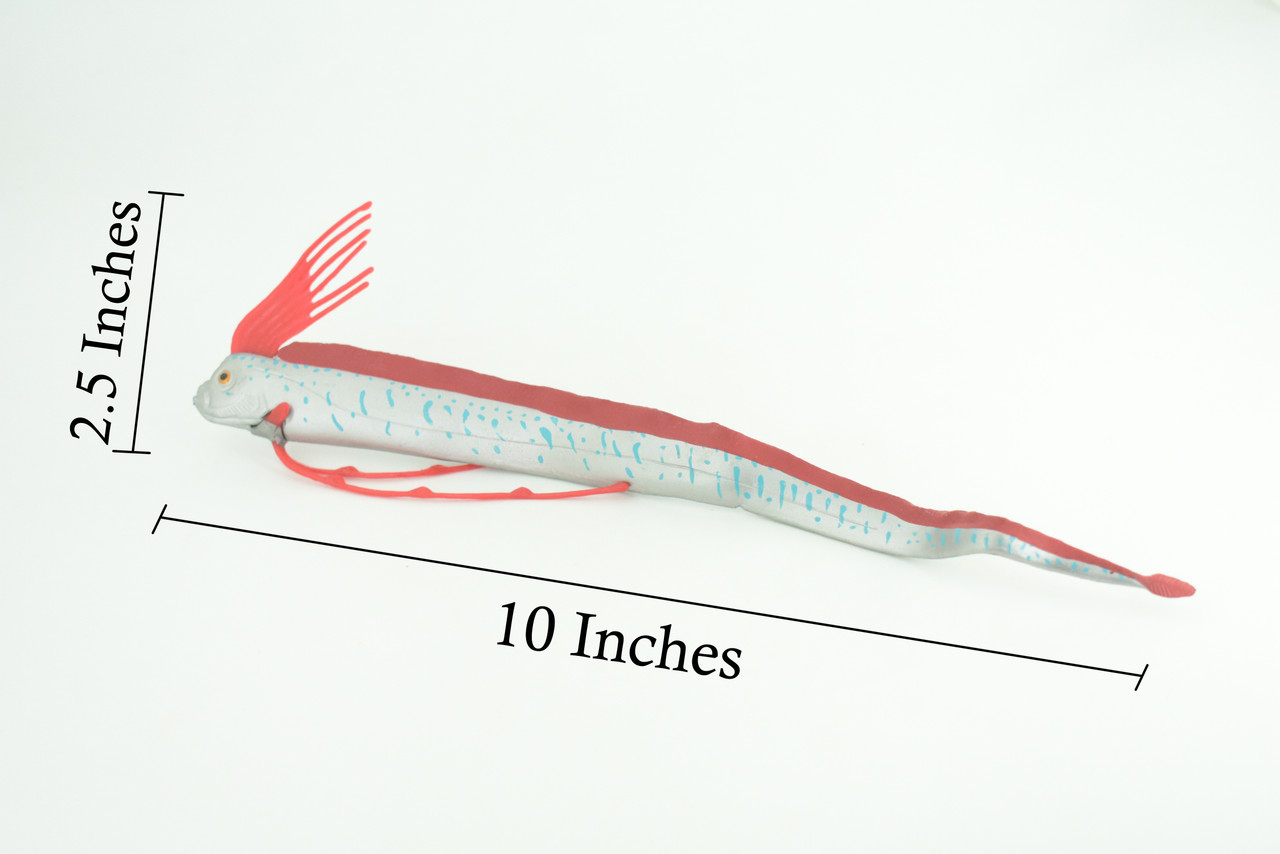 Oarfish, Giant Oar Fish, Ribbon Fish, Museum Quality, Hand Painted, Rubber Fish, Realistic, Diorama, Model, Toy, Kids, Educational, Gift, 10 Inches. CH1016 BB221