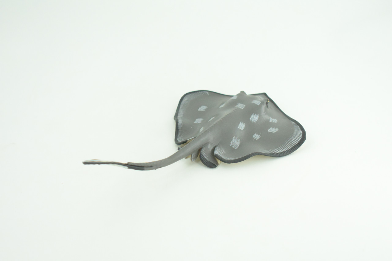 Sting Ray, Spotted Stingray, Museum Quality, Hand Painted, Rubber Fish, Realistic, Diorama, Model, Toy, Kids, Educational, Gift,   6 Inches.   CH1017 BB216