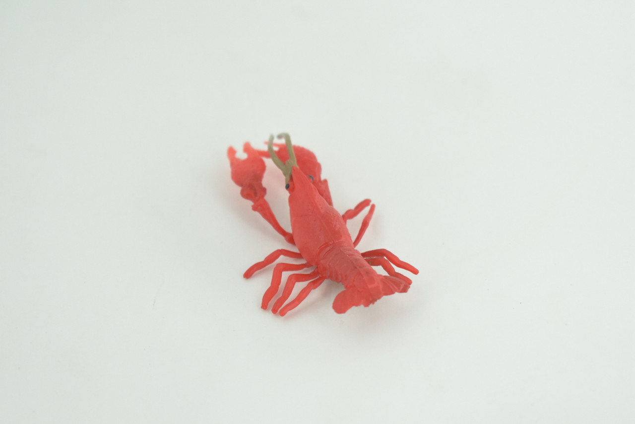 Crayfish, Crawfish, Crawdads, High Quality, Hand Painted, Rubber, Crustaceans, Realistic, Diorama, Model, Lifelike, Toy, Kids, Educational, Gift,   2 1/2 Inches.  CH1018 BB218