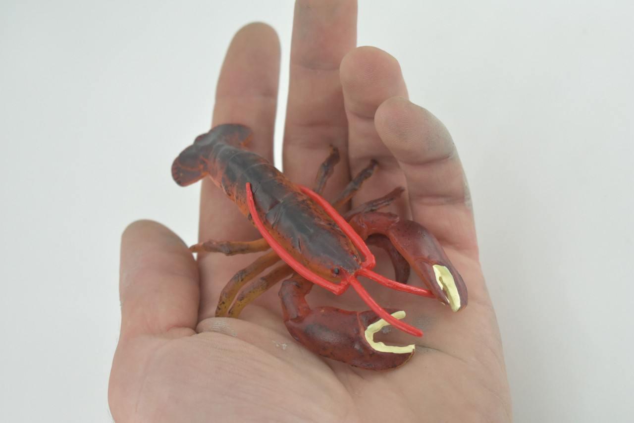 Lobster, Boston, American, Museum Quality, Rubber Crustacean, Hand Painted, Realistic Toy Figure, Diorama, Model, Kids, Educational, Gift, 4 Inches. CH1019 BB216