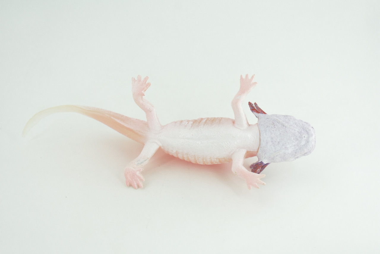 Axolotl, Pink, Ambystoma mexicanum, Rubber Salamander, Museum Quality, Educational, Hand Painted, Realistic Amphibian, Diorama, Toy, Kids, Gift, 7 Inches Long.  CH1021 BB217