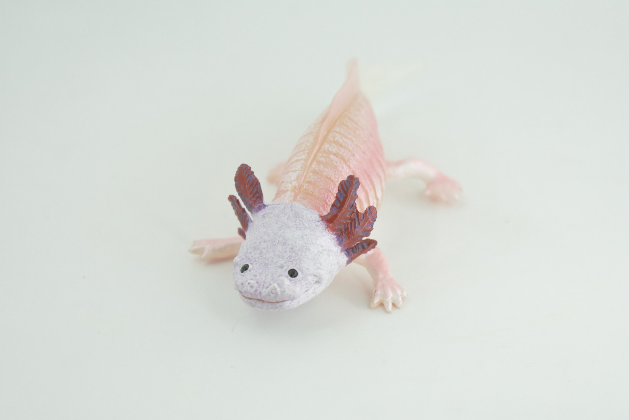Axolotl, Pink, Ambystoma mexicanum, Rubber Salamander, Museum Quality, Educational, Hand Painted, Realistic Amphibian, Diorama, Toy, Kids, Gift, 7 Inches Long.  CH1021 BB217