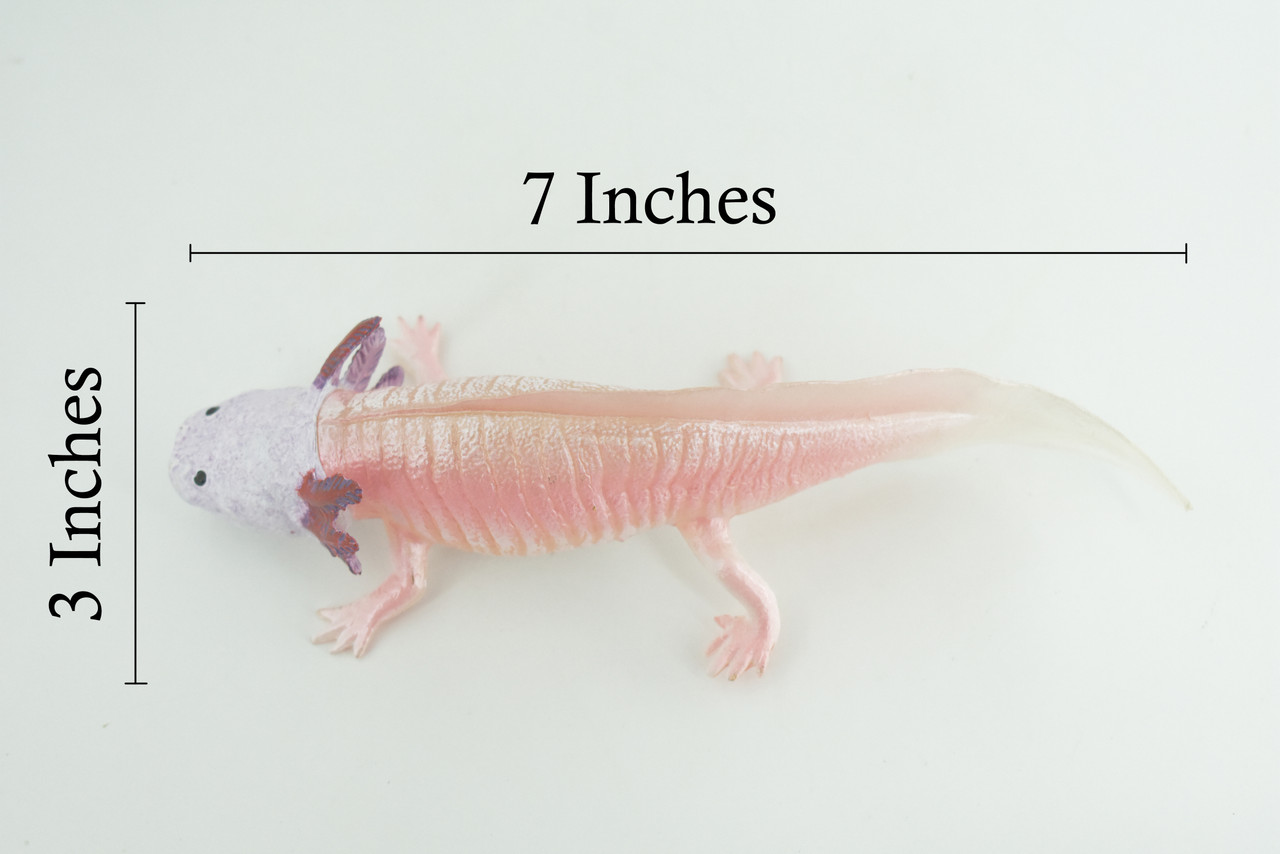 Axolotl, Pink, Ambystoma mexicanum, Rubber Salamander, Museum Quality, Educational, Hand Painted, Realistic Amphibian, Diorama, Toy, Kids, Gift, 7 Inches Long. CH1021 BB217