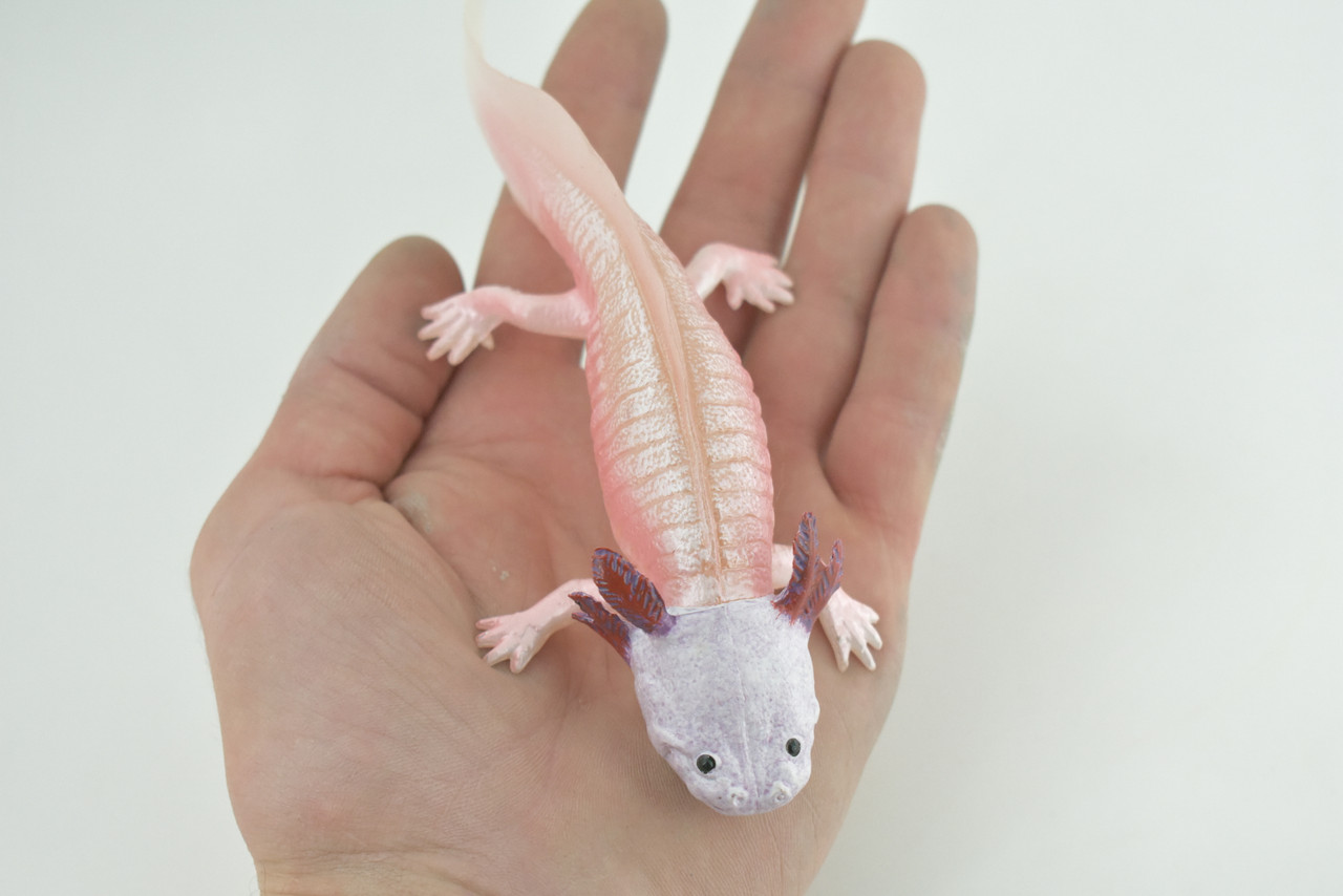 Axolotl, Pink, Ambystoma mexicanum, Rubber Salamander, Museum Quality, Educational, Hand Painted, Realistic Amphibian, Diorama, Toy, Kids, Gift, 7 Inches Long. CH1021 BB217