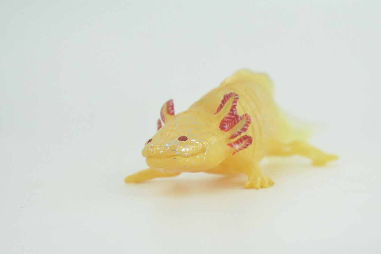 Axolotl, Gold Morph Color, Albino, Rubber Salamander, Museum Quality, Educational, Hand Painted, Realistic Amphibian, Diorama, Toy, Kids, Gift, 7 Inches Long.  CH1022 BB217