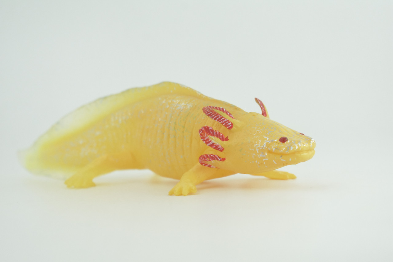 Axolotl, Gold Morph Color, Albino, Rubber Salamander, Museum Quality, Educational, Hand Painted, Realistic Amphibian, Diorama, Toy, Kids, Gift, 7 Inches Long.  CH1022 BB217