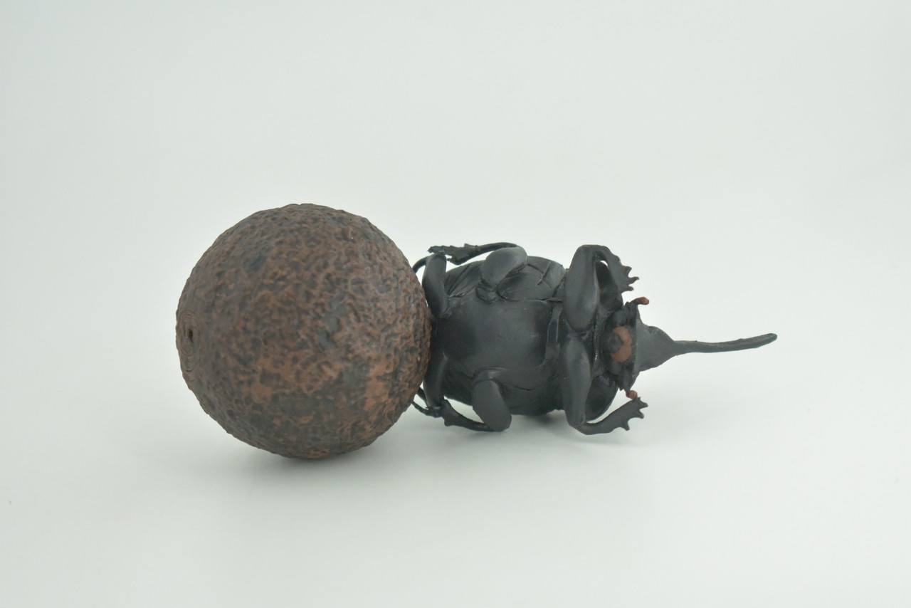 Dung Beetle, Poop, Scarabaeoidea, 2 pieces, Museum Quality, Hand Painted, Hard Rubber, Realistic, Diorama Model, Toy, Kids, Educational, Gift,   5 Inches Long.   CH1023 BB216