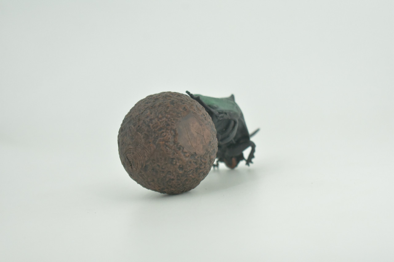 Dung Beetle, Poop, Scarabaeoidea, 2 pieces, Museum Quality, Hand Painted, Hard Rubber, Realistic, Diorama Model, Toy, Kids, Educational, Gift,   5 Inches Long.   CH1023 BB216