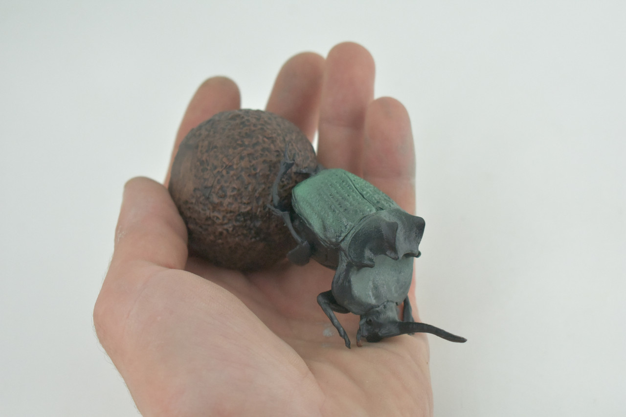 Dung Beetle, Poop, Scarabaeoidea, 2 pieces, Museum Quality, Hand Painted, Hard Rubber, Realistic, Diorama Model, Toy, Kids, Educational, Gift, 5 Inches Long. CH1023 BB216