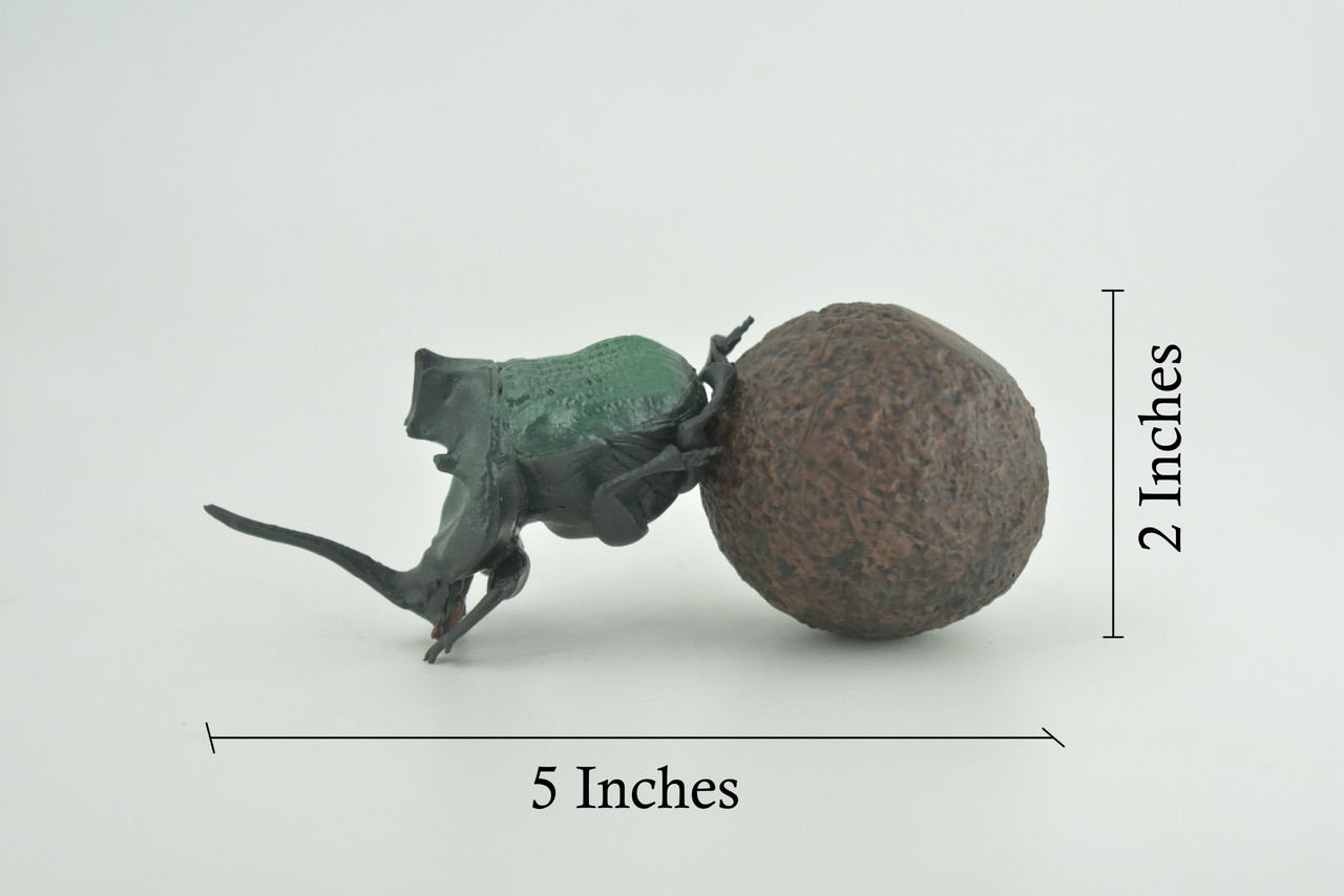 Dung Beetle, Poop, Scarabaeoidea, 2 pieces, Museum Quality, Hand Painted, Hard Rubber, Realistic, Diorama Model, Toy, Kids, Educational, Gift, 5 Inches Long. CH1023 BB216