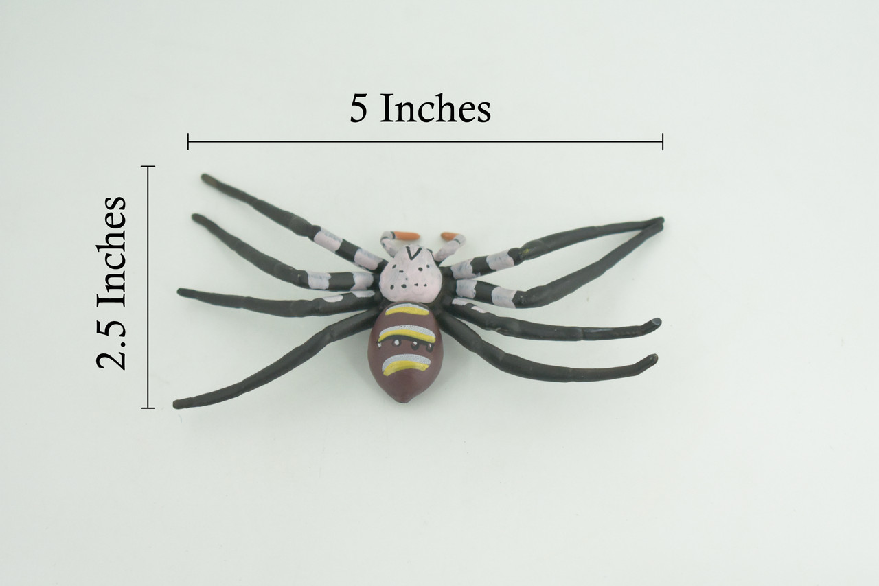 Huntsman Spider, Heteropoda maxima, Hand Painted, Hard Rubber, High Quality, Realistic Insect, Diorama Model, Toy, Kids, Educational, Gift, 5 Inches Wide. CH1024 BB218