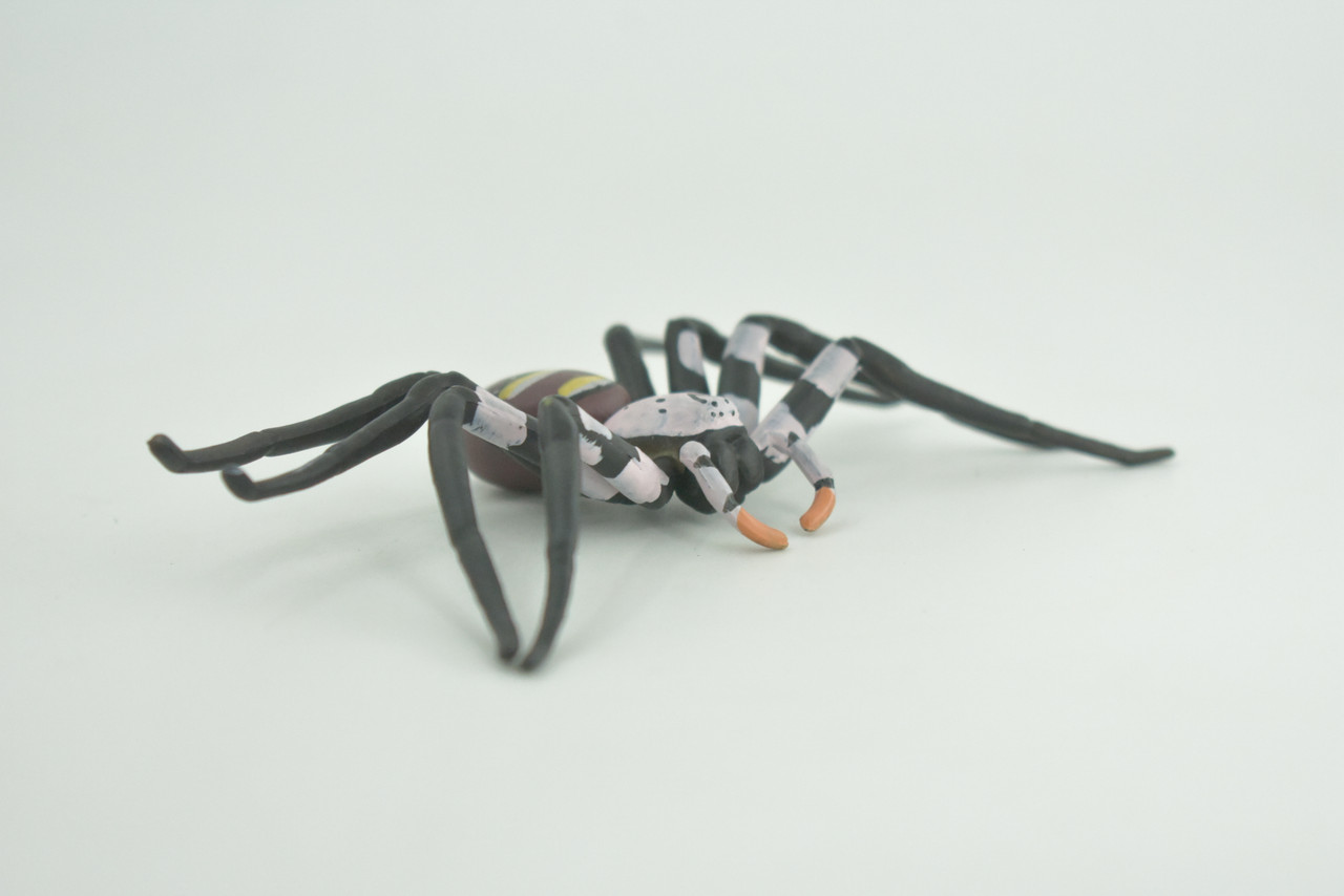 Huntsman Spider, Heteropoda maxima, Hand Painted, Hard Rubber, High Quality, Realistic Insect, Diorama Model, Toy, Kids, Educational, Gift,   5 Inches Wide.   CH1024 BB218