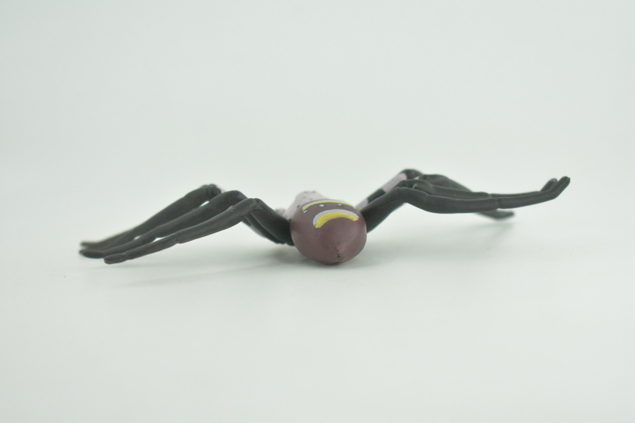 Huntsman Spider, Heteropoda maxima, Hand Painted, Hard Rubber, High Quality, Realistic Insect, Diorama Model, Toy, Kids, Educational, Gift,   5 Inches Wide.   CH1024 BB218