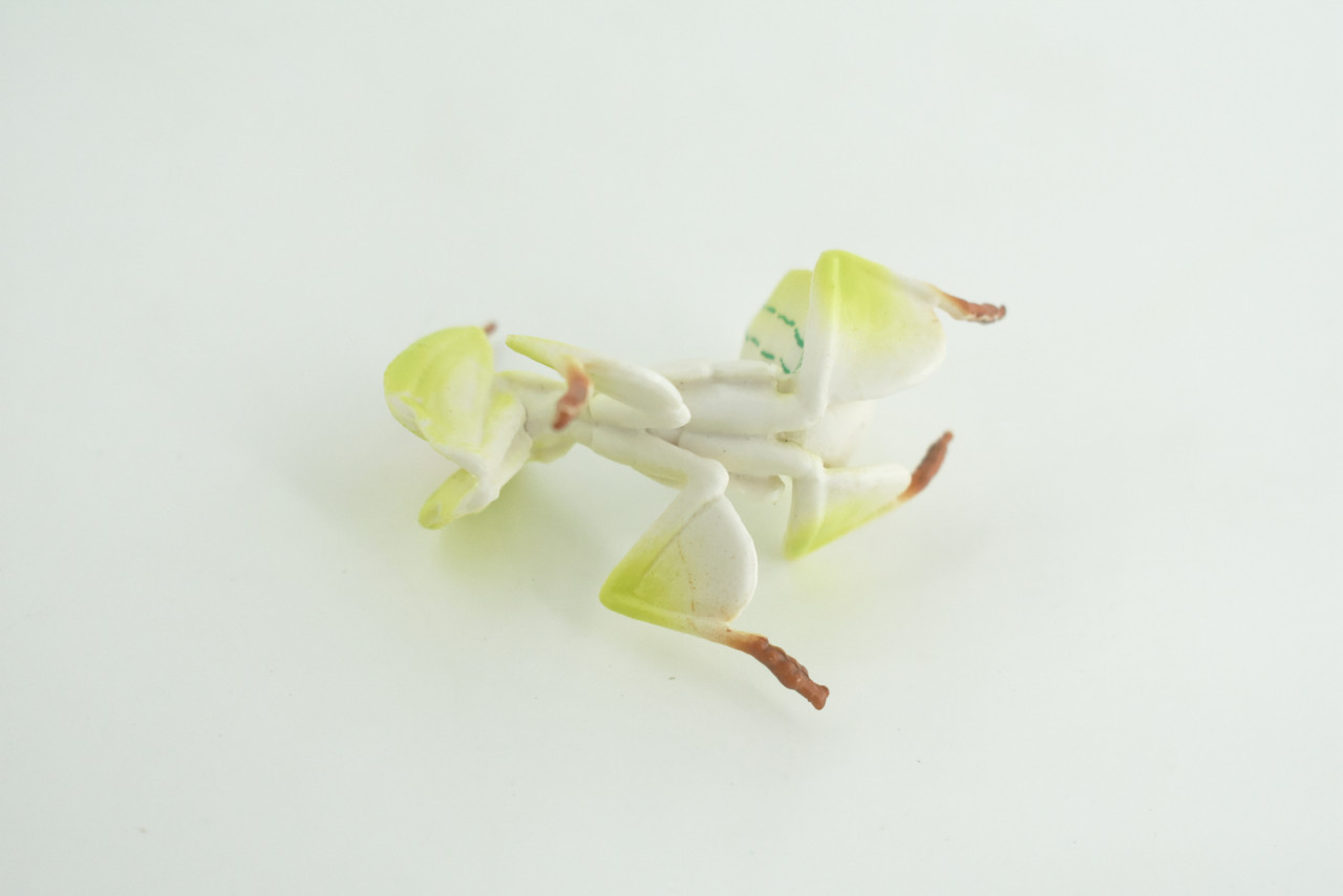 Orchid Mantis, Yellow Flower Praying Mantis, Museum Quality, Educational, Hand Painted, Realistic Rubber Insect, Model, Toy, Kids, Gift,    2 1/2 Inches.   CH1027 BB218