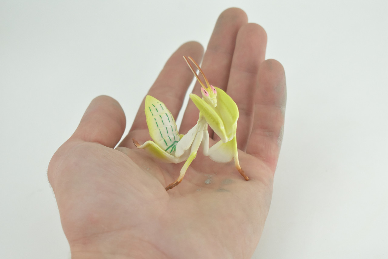 Orchid Mantis, Yellow Flower Praying Mantis, Museum Quality, Educational, Hand Painted, Realistic Rubber Insect, Model, Toy, Kids, Gift, 2 1/2 Inches. CH1027 BB218