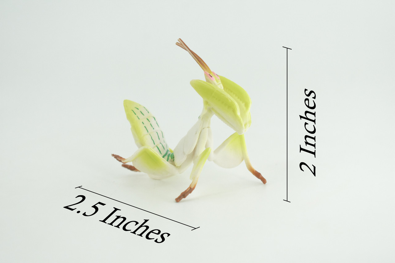 Orchid Mantis, Yellow Flower Praying Mantis, Museum Quality, Educational, Hand Painted, Realistic Rubber Insect, Model, Toy, Kids, Gift, 2 1/2 Inches. CH1027 BB218