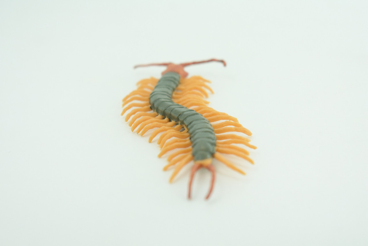 Centipede, Arthropods, Florida, Hand Painted, Museum Quality, Hard Rubber, Realistic Insect, Diorama Model, Toy, Kids, Educational, Gift,  4 1/2 Inches Long.    CH1029 BB218