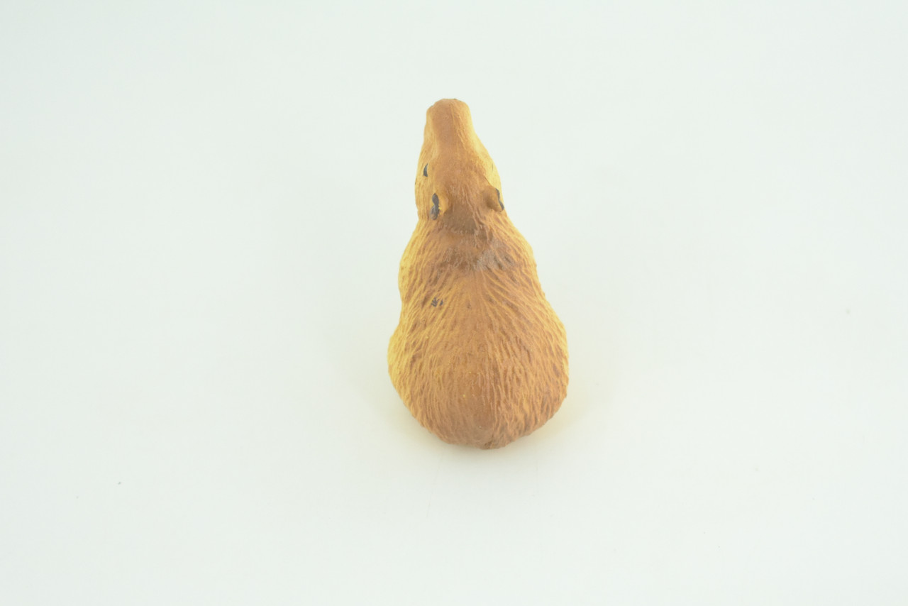 Capybara, Sitting, Giant Cavy Rodent, Nutria, Baby, High Quality, Hand Painted, Rubber Animal, Realistic, Diorama Model, Toy, Kids, Educational, Gift,    2 Inches.     CH1031 BB218  