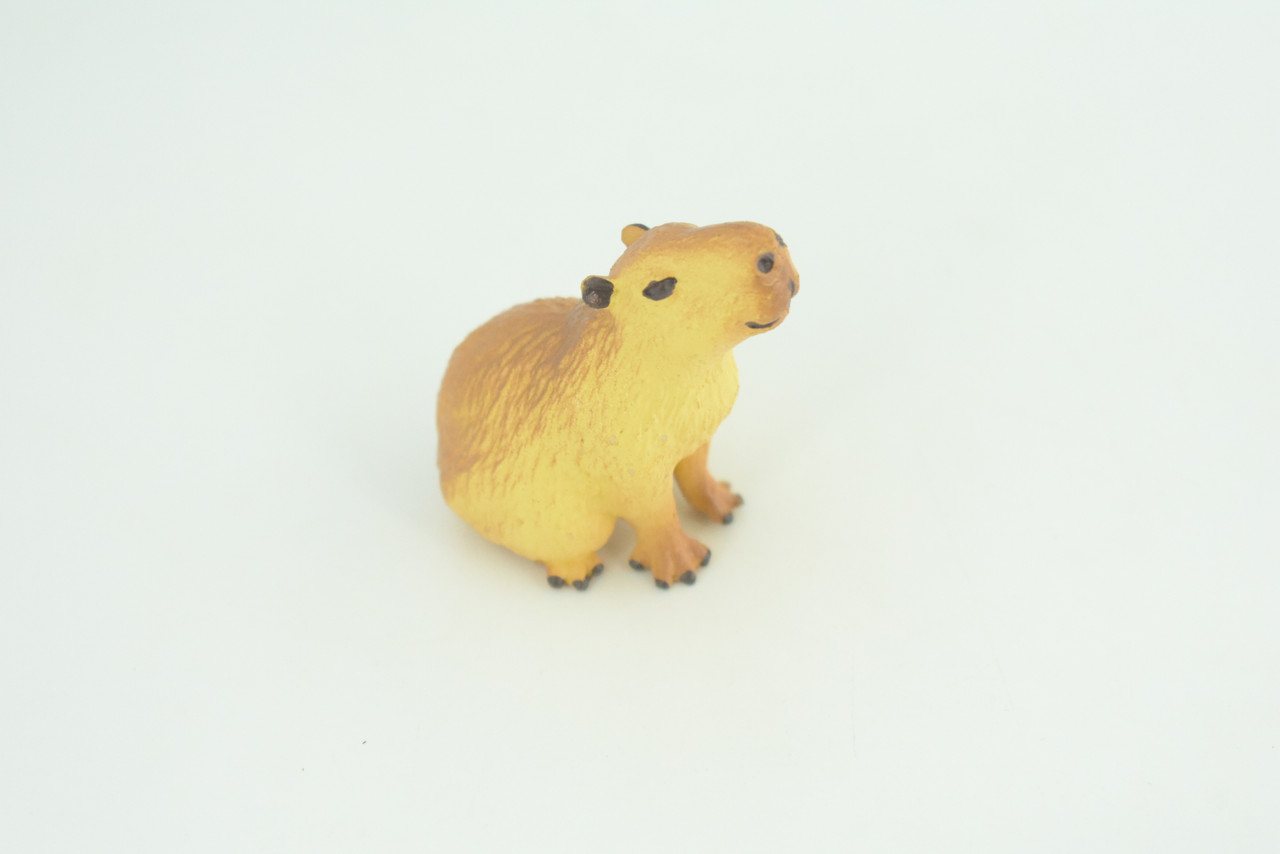 Capybara, Sitting, Giant Cavy Rodent, Nutria, Baby, High Quality, Hand Painted, Rubber Animal, Realistic, Diorama Model, Toy, Kids, Educational, Gift,    2 Inches.     CH1031 BB218  