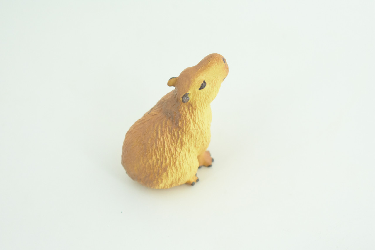 Capybara, Sitting, Giant Cavy Rodent, Nutria, Baby, High Quality, Hand Painted, Rubber Animal, Realistic, Diorama Model, Toy, Kids, Educational, Gift,    2 Inches.     CH1031 BB218  