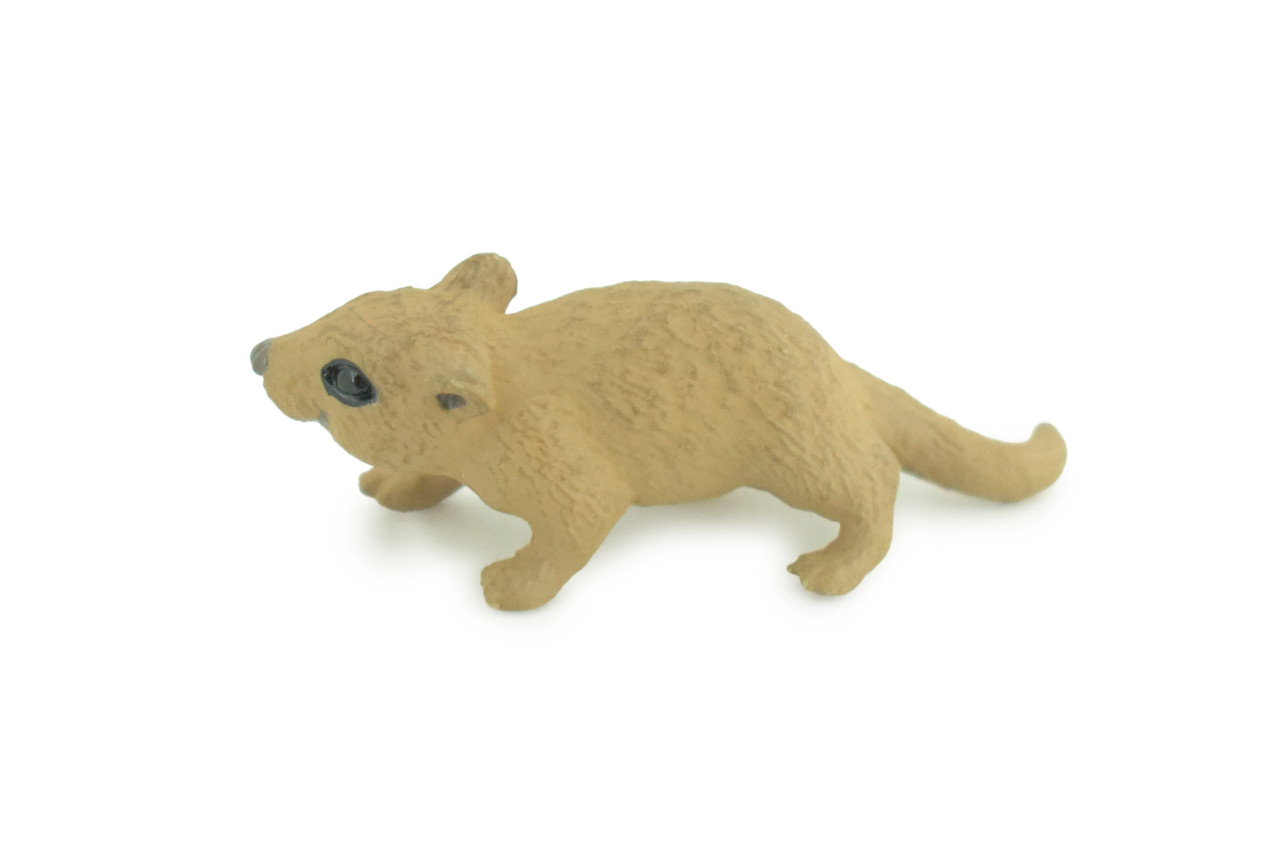 Mouse, Hand Painted, High Quality Rubber Rodent, Realistic House Mouse, (Mus musculus), Diorama Design, Educational, Toys, Kids, Gift, 1 3/4 Inches. CH1032 BB218