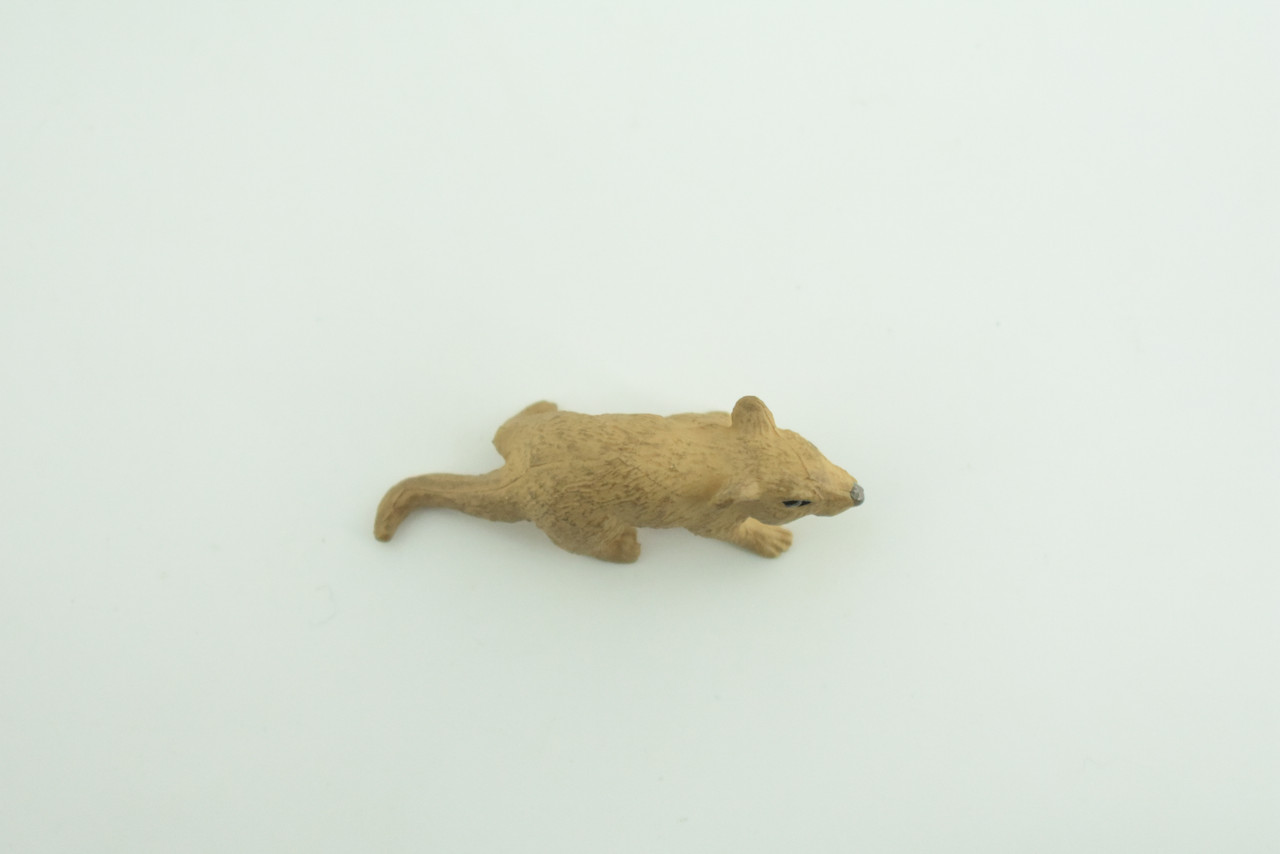 Mouse, Hand Painted, High Quality Rubber Rodent, Realistic House Mouse, (Mus musculus), Diorama Design, Educational, Toys, Kids, Gift,    1 3/4 Inches.  CH1032 BB218