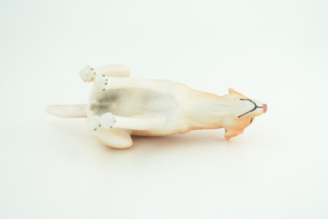 Labrador Dog, Pooping, Yellow Lab, Hand Painted, Educational, Museum Quality, Rubber Canine, K9, Realistic, Diorama, Figure, Toys, Kids, Gift,  5 Inches.  CH1036 BB216