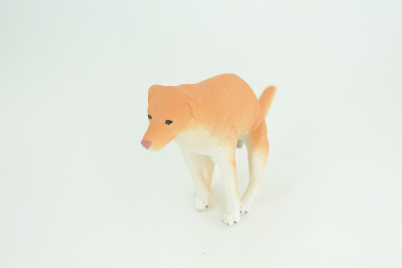 Labrador Dog, Pooping, Yellow Lab, Hand Painted, Educational, Museum Quality, Rubber Canine, K9, Realistic, Diorama, Figure, Toys, Kids, Gift,  5 Inches.  CH1036 BB216