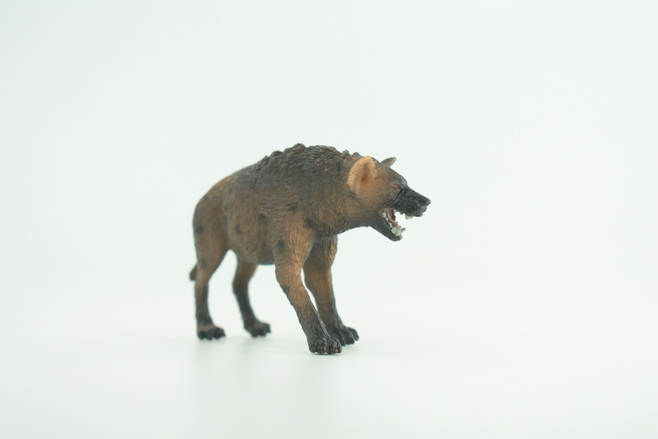 Hyena, Spotted, Hyaena, Museum Quality, Rubber Animal, Hand Painted, Realistic Toy Figure, Diorama Model, Kids, Educational, Gift,   3 1/2 Inches.  CH1037 BB221
