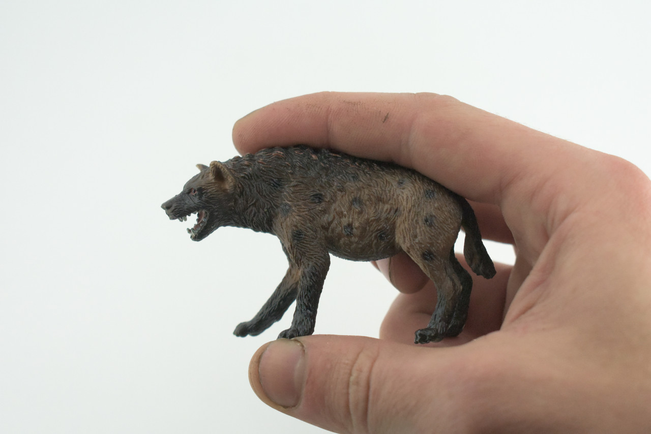 Hyena, Spotted, Hyaena, Museum Quality, Rubber Animal, Hand Painted, Realistic Toy Figure, Diorama Model, Kids, Educational, Gift, 3 1/2 Inches. CH1037 BB221