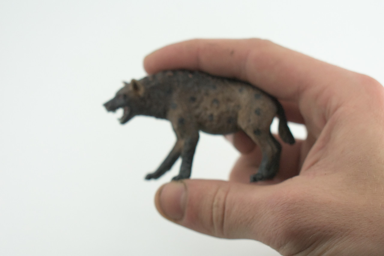Hyena, Spotted, Hyaena, Museum Quality, Rubber Animal, Hand Painted, Realistic Toy Figure, Diorama Model, Kids, Educational, Gift,   3 1/2 Inches.  CH1037 BB221