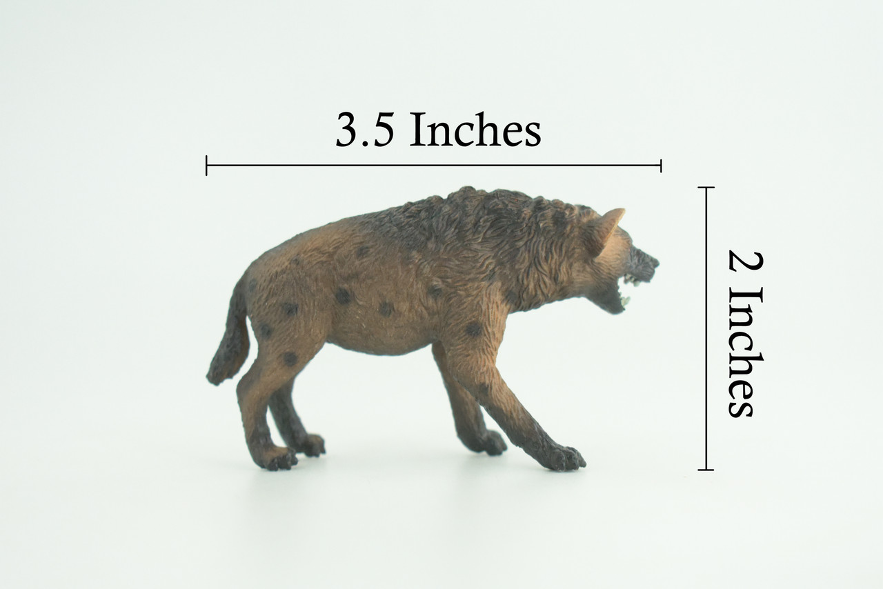 Hyena, Spotted, Hyaena, Museum Quality, Rubber Animal, Hand Painted, Realistic Toy Figure, Diorama Model, Kids, Educational, Gift, 3 1/2 Inches. CH1037 BB221