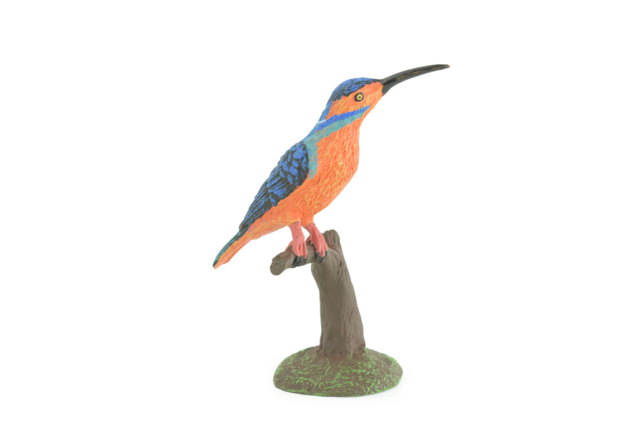 Kingfisher, Common King Fisher, Museum Quality, Educational, Hand Painted, Rubber Bird, Diorama Model, Realistic, Toys, Kids, Gift, 4 Inches. CH1039 BB217