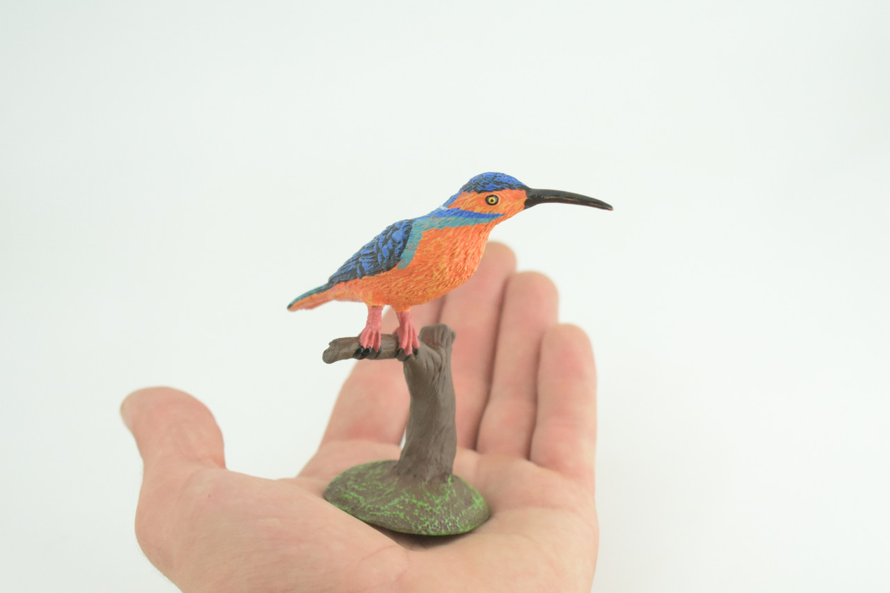 Kingfisher, Common King Fisher, Museum Quality, Educational, Hand Painted, Rubber Bird, Diorama Model, Realistic, Toys, Kids, Gift, 4 Inches. CH1039 BB217