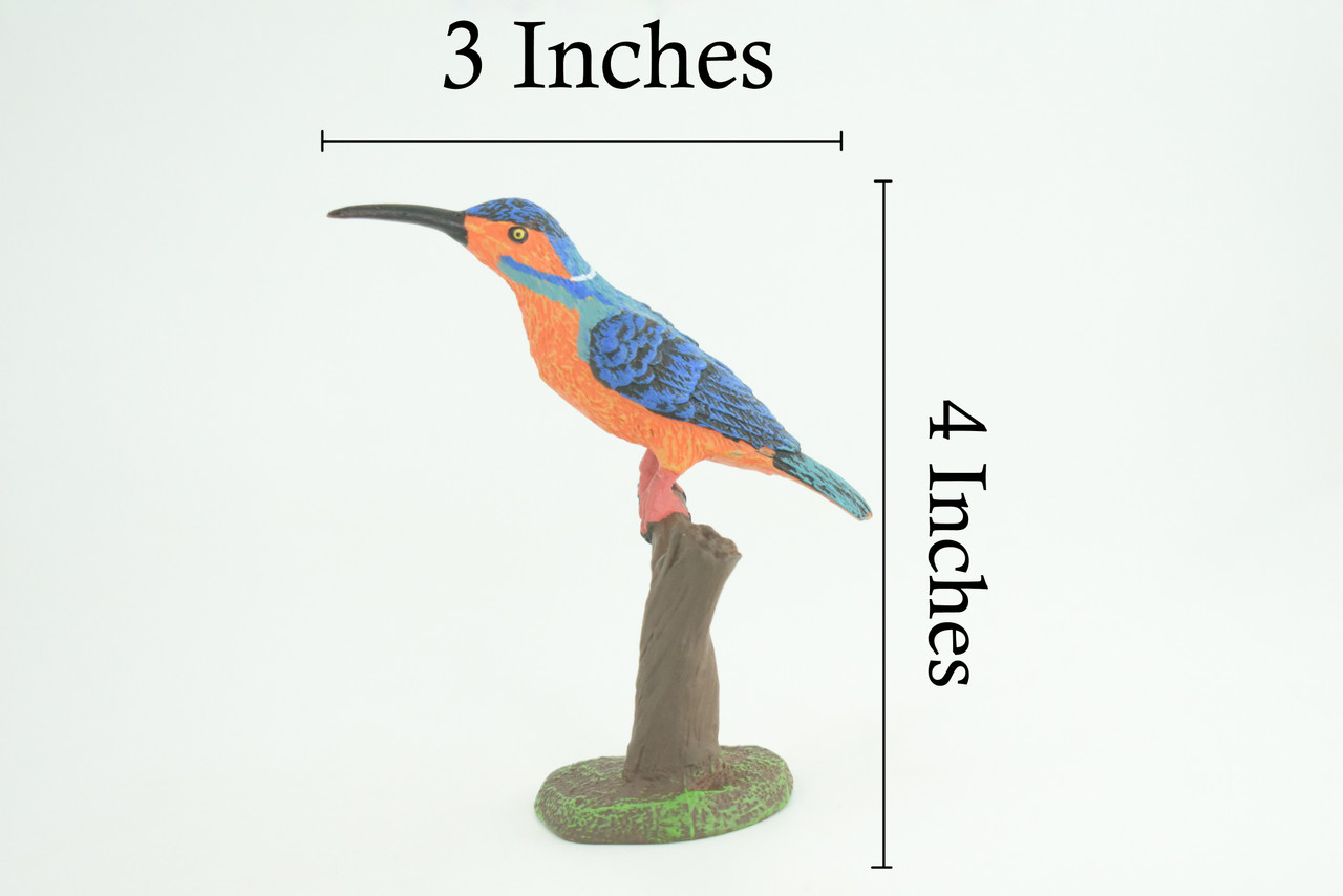 Kingfisher, Common King Fisher, Museum Quality, Educational, Hand Painted, Rubber Bird, Diorama Model, Realistic, Toys, Kids, Gift, 4 Inches. CH1039 BB217