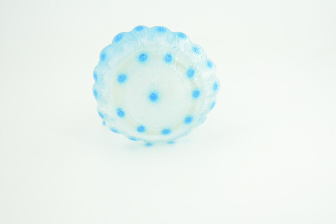 Jellyfish, Blue, Common, Sea jellies, Subphylum Medusozoa, Very Nice Rubber Design, Educational, Hand Painted, Diorama Model, Realistic, Toys, Kids, Gift,  5 Inches.  CH1041 BB215