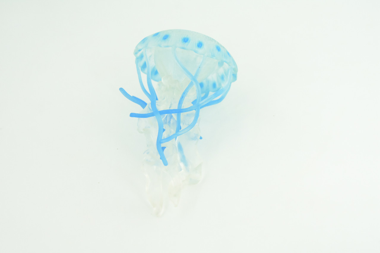 Jellyfish, Blue, Common, Sea jellies, Subphylum Medusozoa, Very Nice Rubber Design, Educational, Hand Painted, Diorama Model, Realistic, Toys, Kids, Gift,  5 Inches.  CH1041 BB215