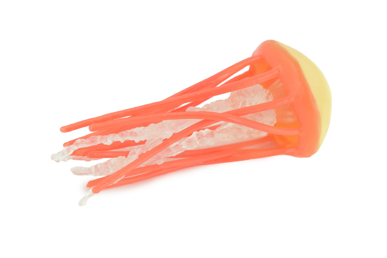Jellyfish, Orange, Common, Sea jellies, Subphylum Medusozoa, Very Nice Rubber Design, Educational, Hand Painted, Diorama Model, Realistic, Toys, Kids, Gift, 3 Inches.