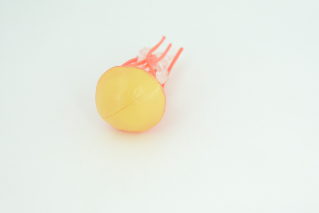 Jellyfish, Orange, Common, Sea jellies, Subphylum Medusozoa, Very Nice Rubber Design, Educational, Hand Painted, Diorama Model, Realistic, Toys, Kids, Gift,  3 Inches.  CH1043 BB216
