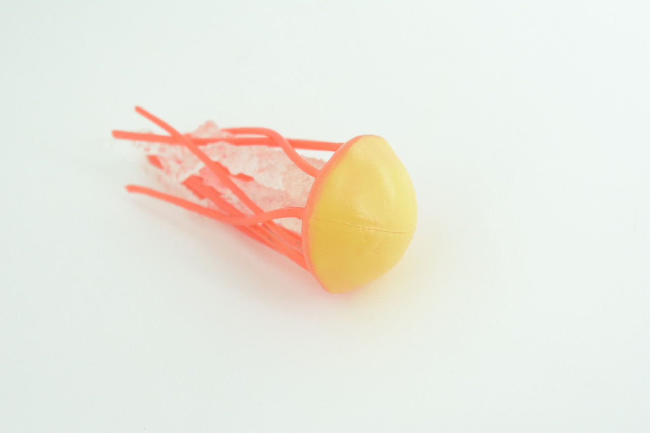 Jellyfish, Orange, Common, Sea jellies, Subphylum Medusozoa, Very Nice Rubber Design, Educational, Hand Painted, Diorama Model, Realistic, Toys, Kids, Gift,  3 Inches.  CH1043 BB216