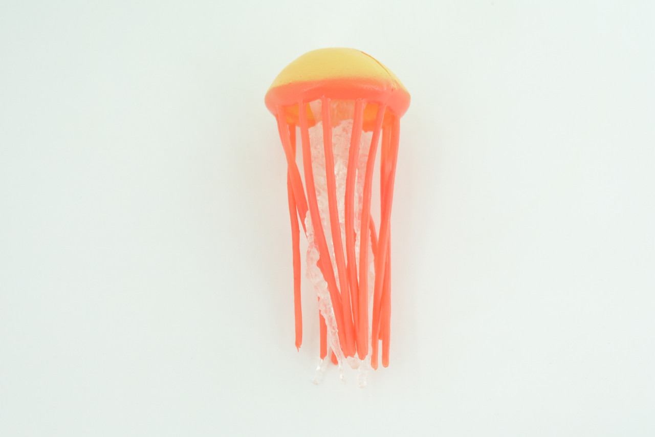 Jellyfish, Orange, Common, Sea jellies, Subphylum Medusozoa, Very Nice Rubber Design, Educational, Hand Painted, Diorama Model, Realistic, Toys, Kids, Gift,  3 Inches.  CH1043 BB216