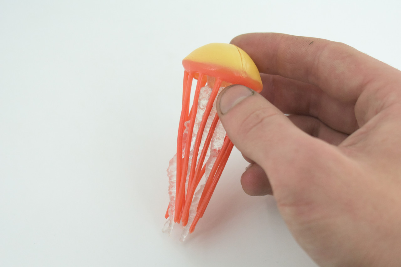 Jellyfish, Orange, Common, Sea jellies, Subphylum Medusozoa, Very Nice Rubber Design, Educational, Hand Painted, Diorama Model, Realistic, Toys, Kids, Gift, 3 Inches.